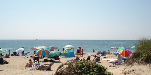 Herring Cove Beach in Provincetown-credit-MOTT and William DeSouza Mauk